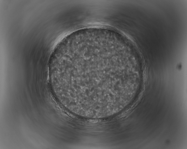 X0000114581267200911301326