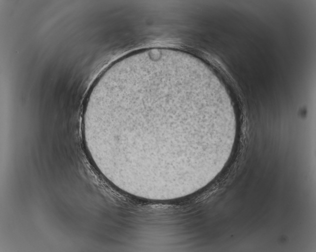 X0000114581268200911301326