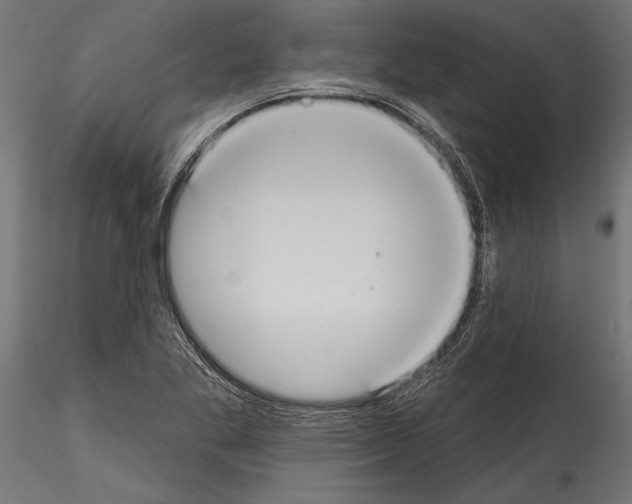 X0000114581269200911301326