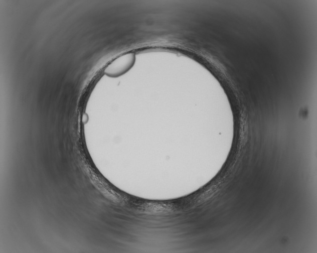 X0000114581270200911301326