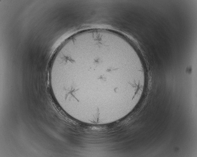 X0000114581271200911301326