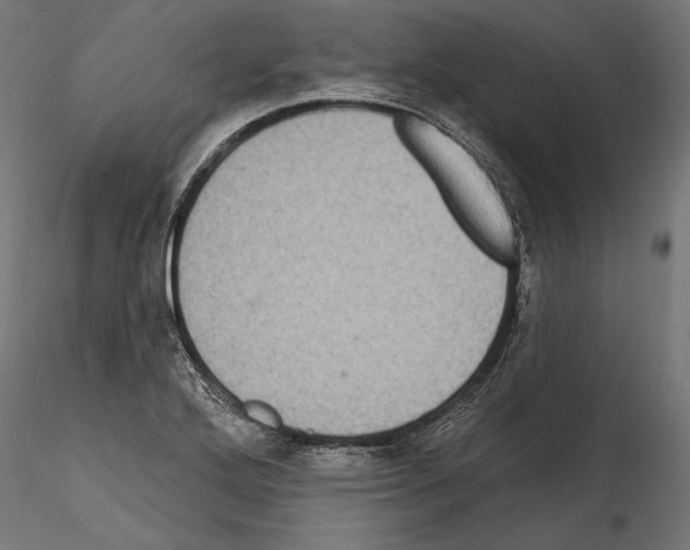 X0000114581272200911301326