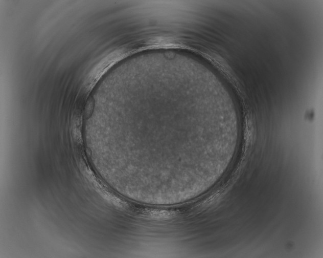 X0000114581273200911301326