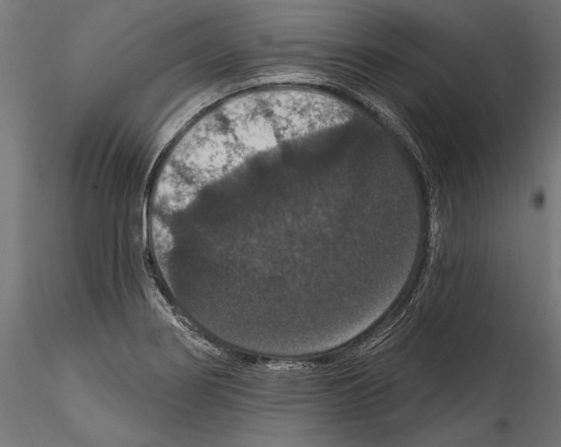 X0000114581274200911301326