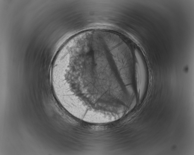 X0000114581275200911301326