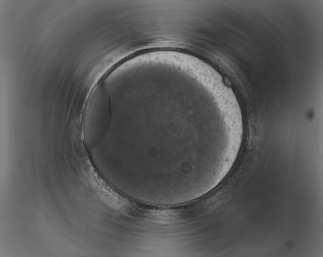 X0000114581276200911301326