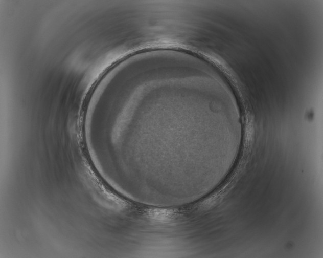 X0000114581278200911301326