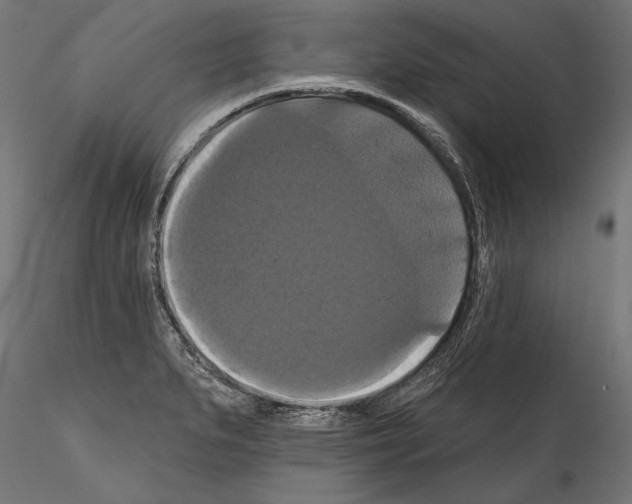 X0000114581279200911301326