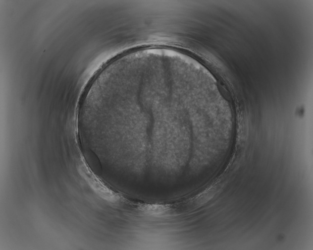 X0000114581280200911301326