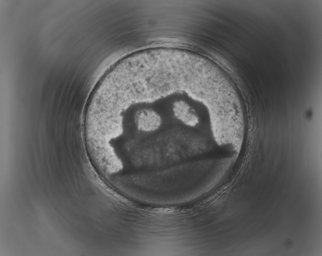 X0000114581283200911301326