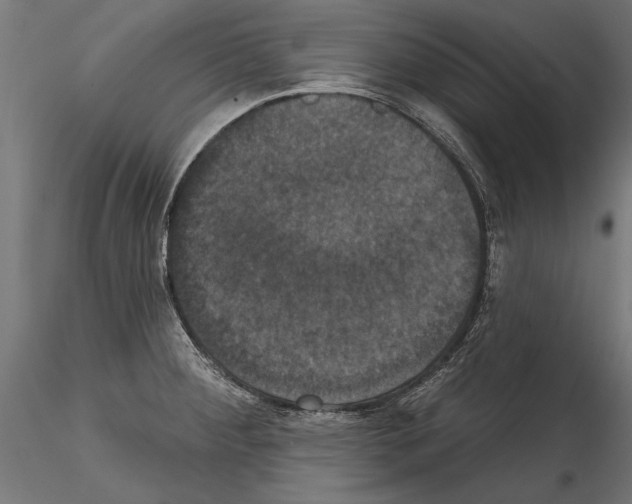 X0000114581284200911301326