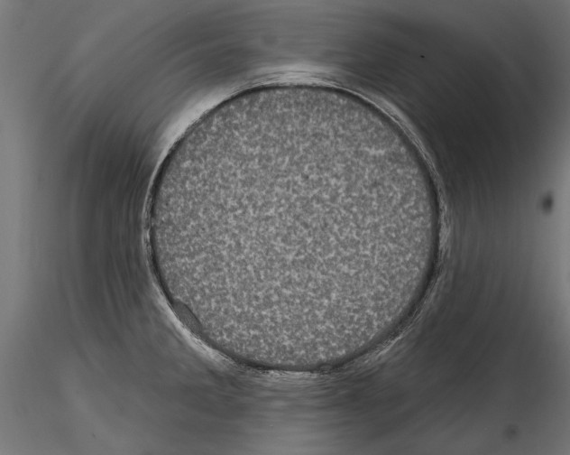 X0000114581285200911301326