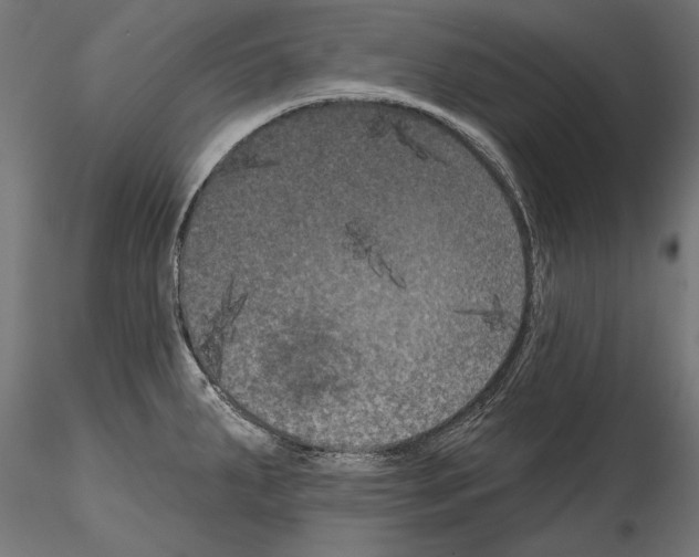 X0000114581287200911301326