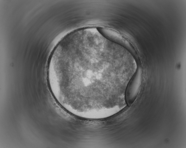 X0000114581288200911301326