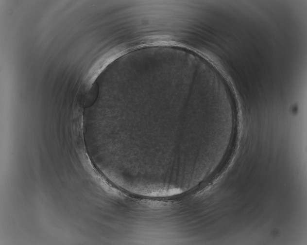 X0000114581289200911301326