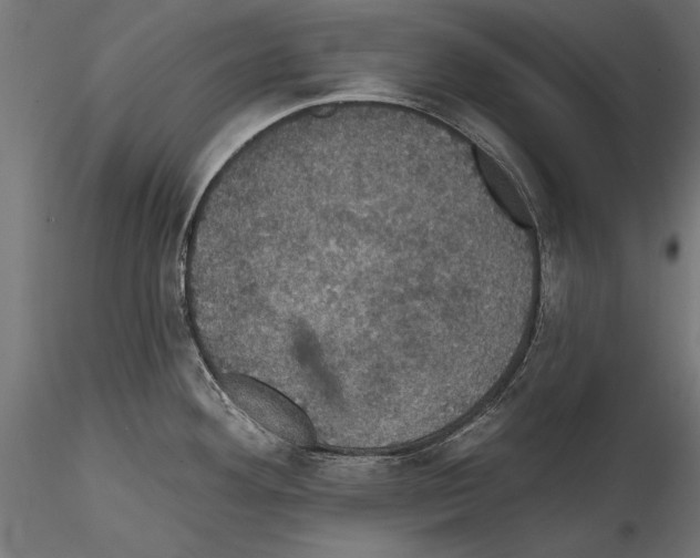 X0000114581292200911301326