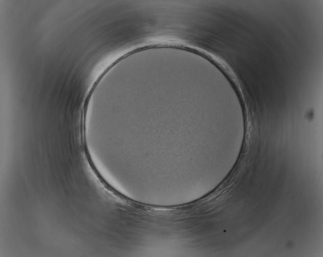 X0000114581295200911301326