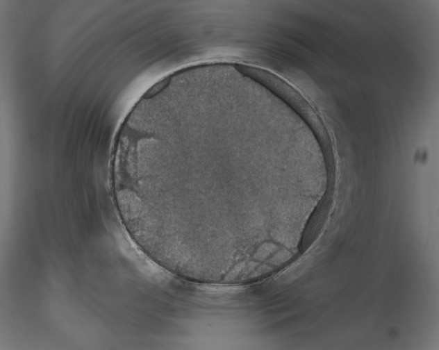 X0000114581296200911301326