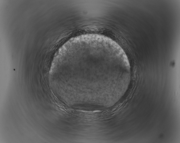 X0000114581297200911301325