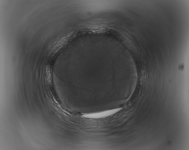 X0000114581298200911301325