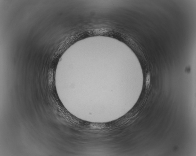 X0000114581299200911301325