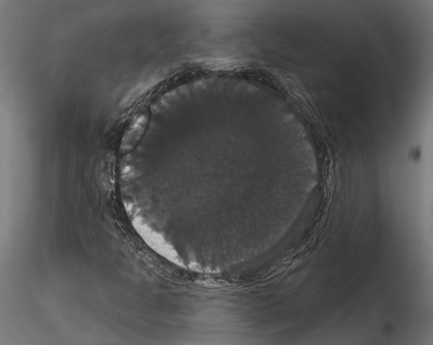 X0000114581301200911301325