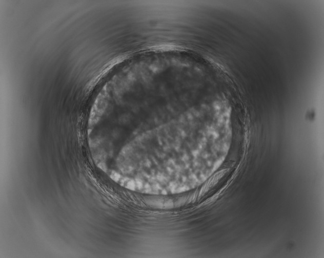 X0000114581305200911301325