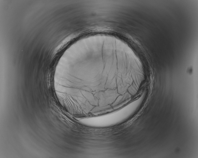 X0000114581306200911301325