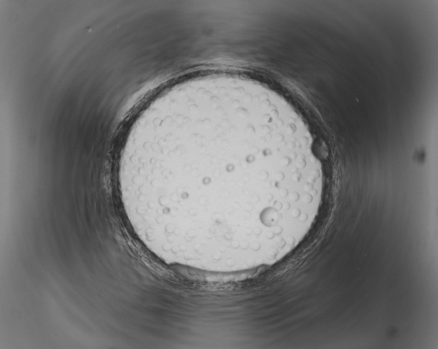 X0000114581307200911301325