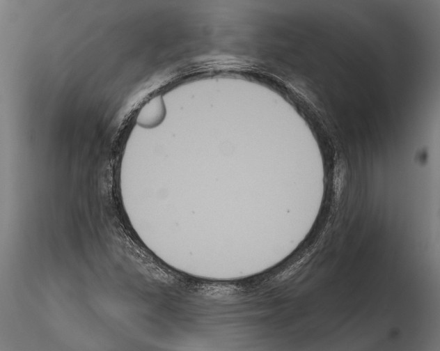 X0000114581309200911301325