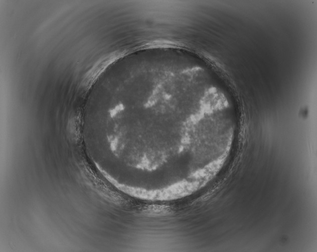 X0000114581313200911301325