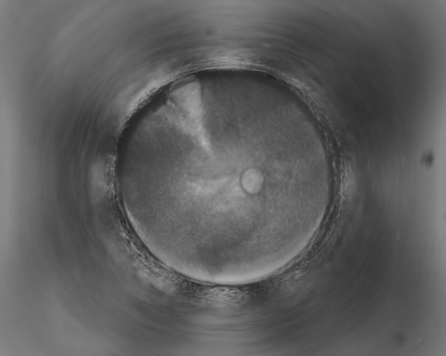 X0000114581314200911301325