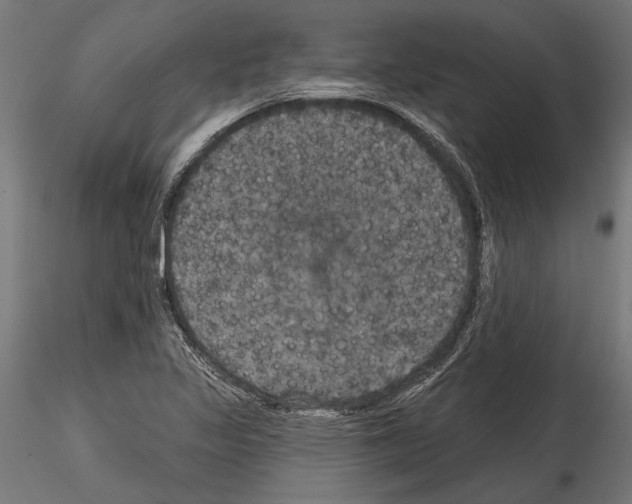 X0000114581317200911301326