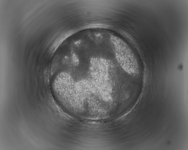 X0000114581321200911301326