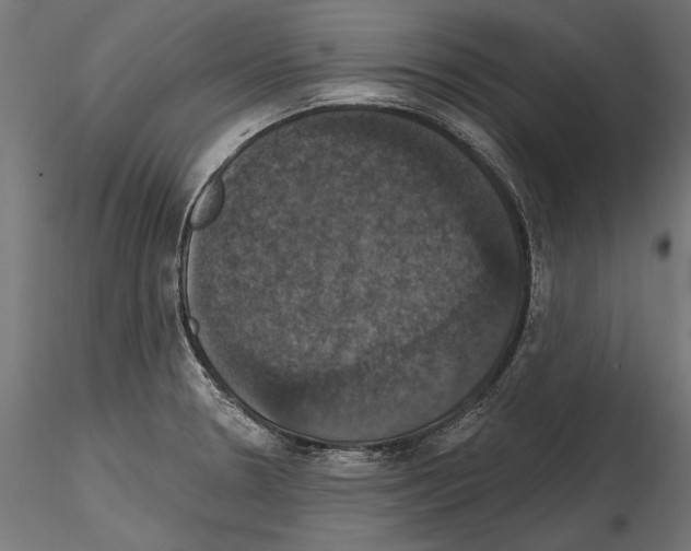 X0000114581330200911301326