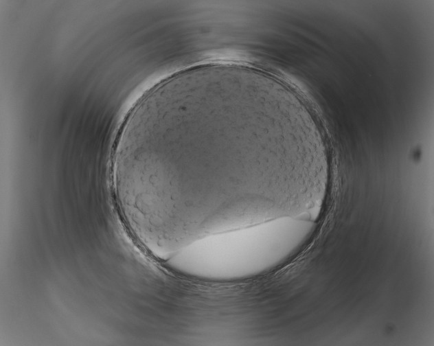 X0000114581331200911301326