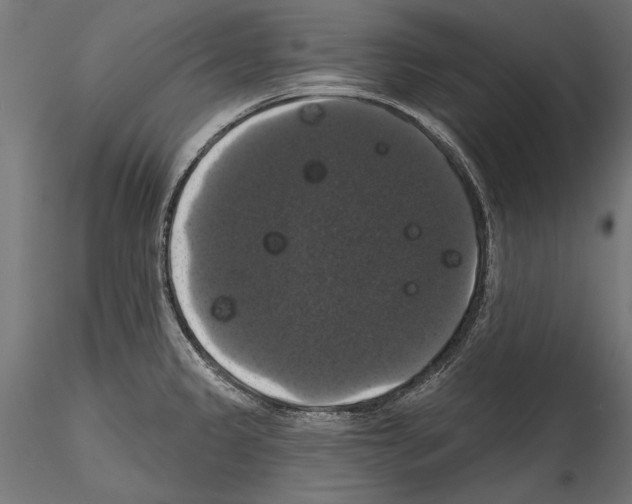 X0000114581333200911301326