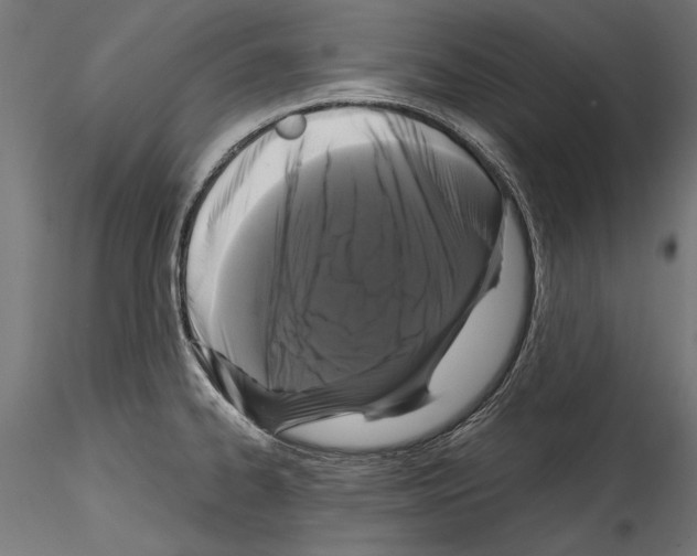 X0000114581334200911301326