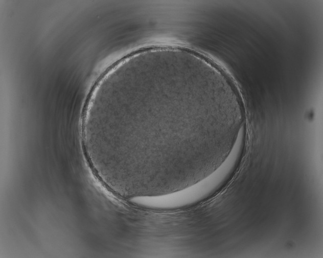 X0000114581335200911301326