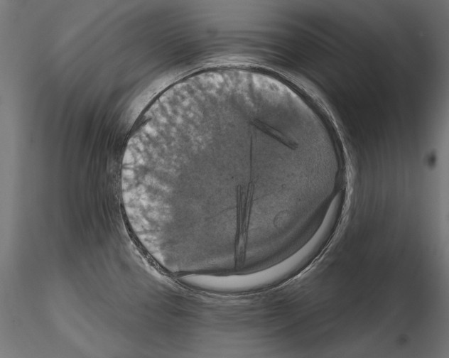 X0000114581337200911301326