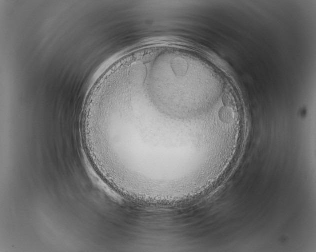 X0000114581338200911301326