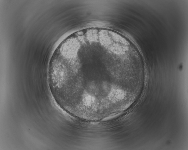 X0000114581339200911301326