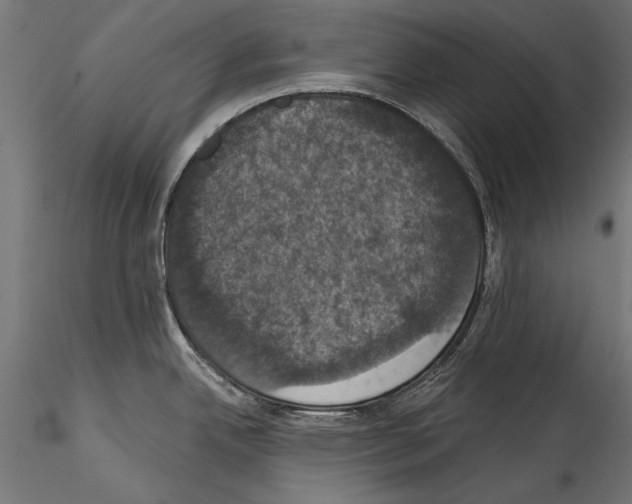 X0000114581342200911301326