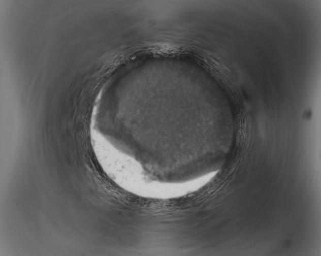 X0000114581345200911301325