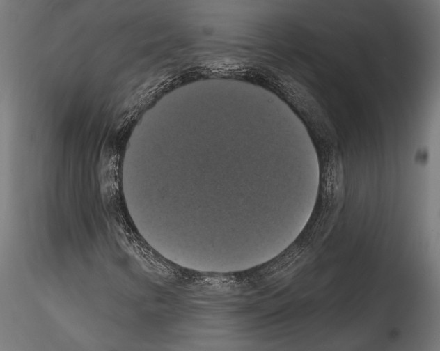 X0000114581346200911301325