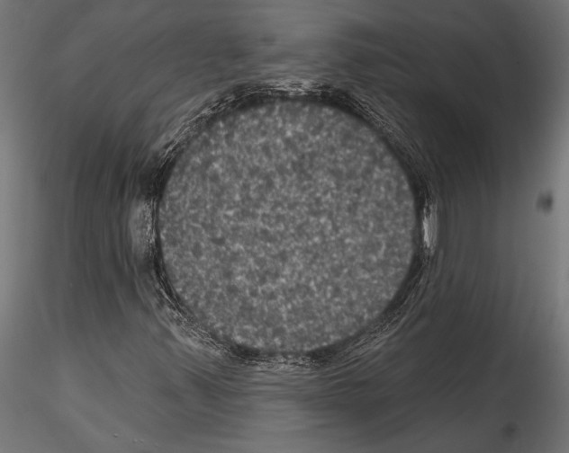 X0000114581347200911301325