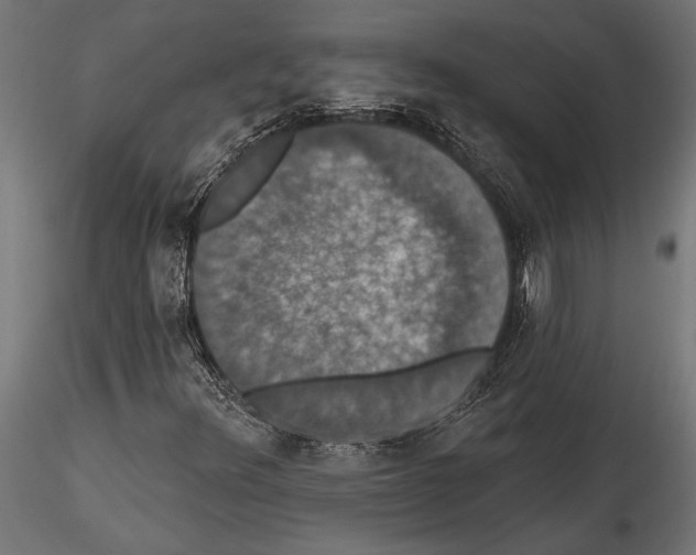 X0000114581348200911301325