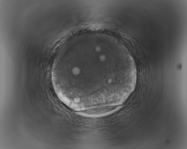 X0000114581349200911301325