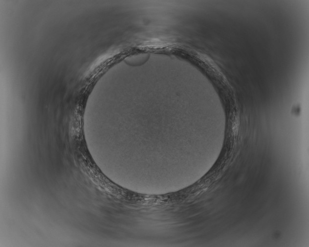 X0000114581350200911301325