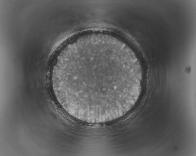 X0000114581352200911301325